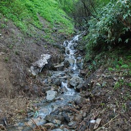 長野県小谷村・栂池高原