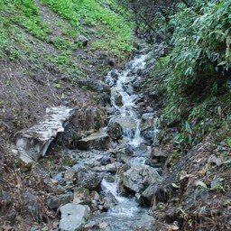 長野県小谷村・栂池高原