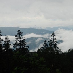 長野県小谷村・栂池高原