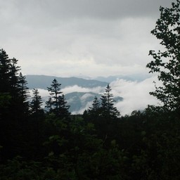 長野県小谷村・栂池高原