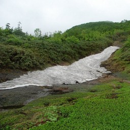 長野県小谷村・栂池高原