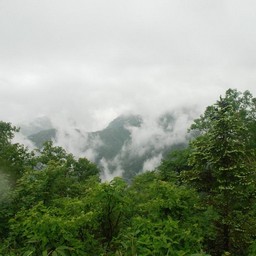 長野県小谷村・栂池高原