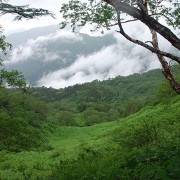 長野県小谷村・栂池高原