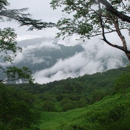 長野県小谷村・栂池高原