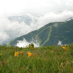 長野県白馬村・八方