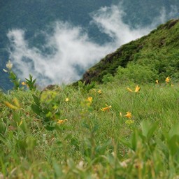 長野県白馬村・八方