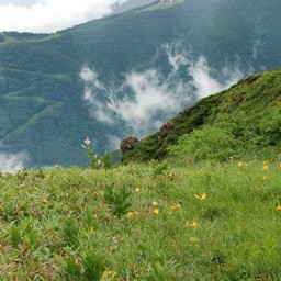 長野県白馬村・八方
