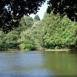 千葉市・動物公園