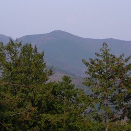 静岡県・中伊豆