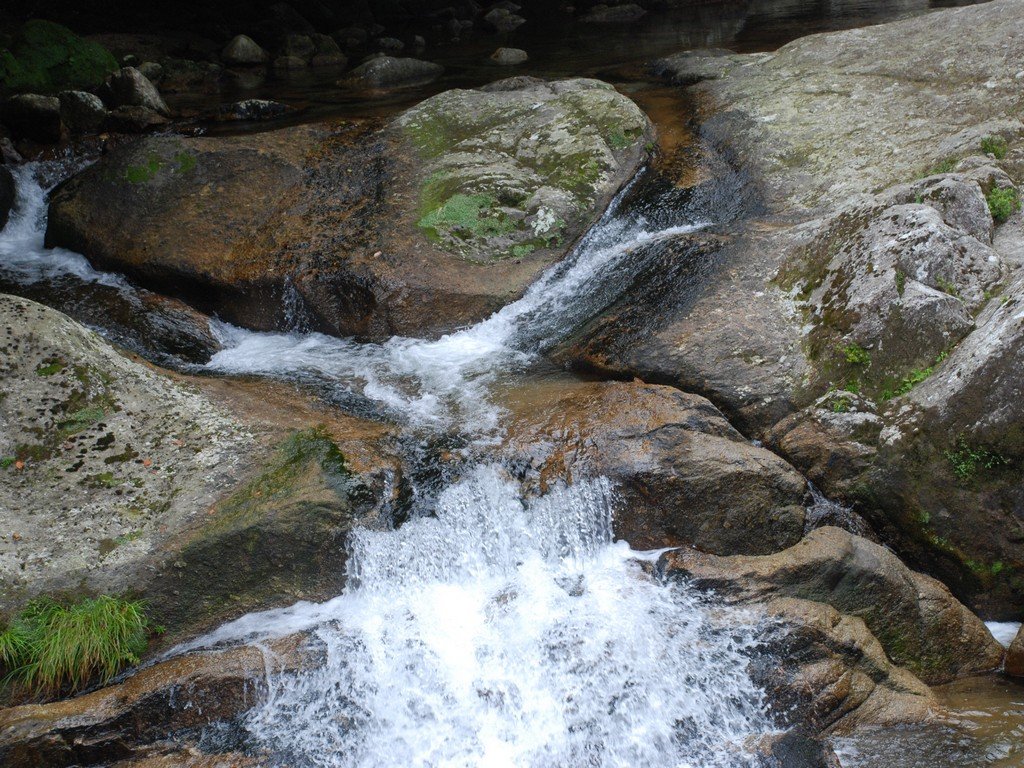 FьSvEvEJ_ - RE - ʐ^f - ݃{