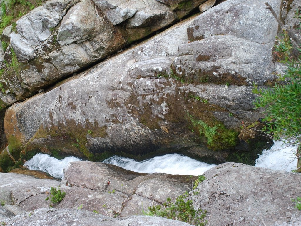 FьSvEvEJ_ - RE - ʐ^f - ݃{