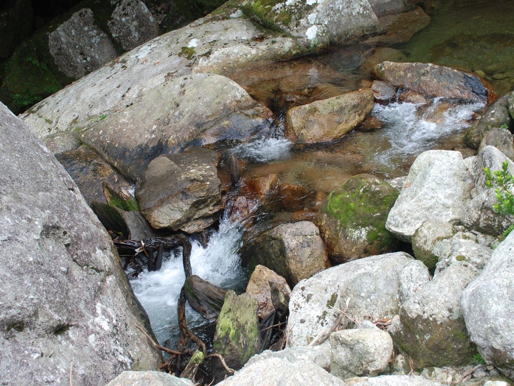 FьSvEvEJ_ - RE - ʐ^f - ݃{