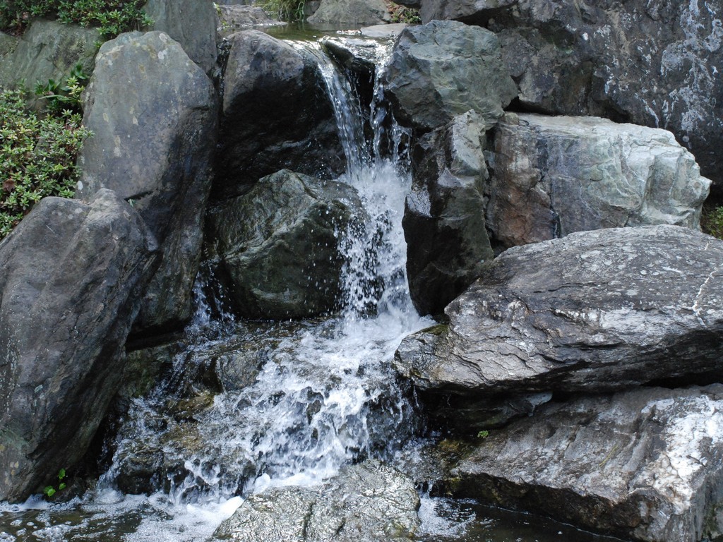 ʌzJsEԓc - RE - ʐ^f - ݃{