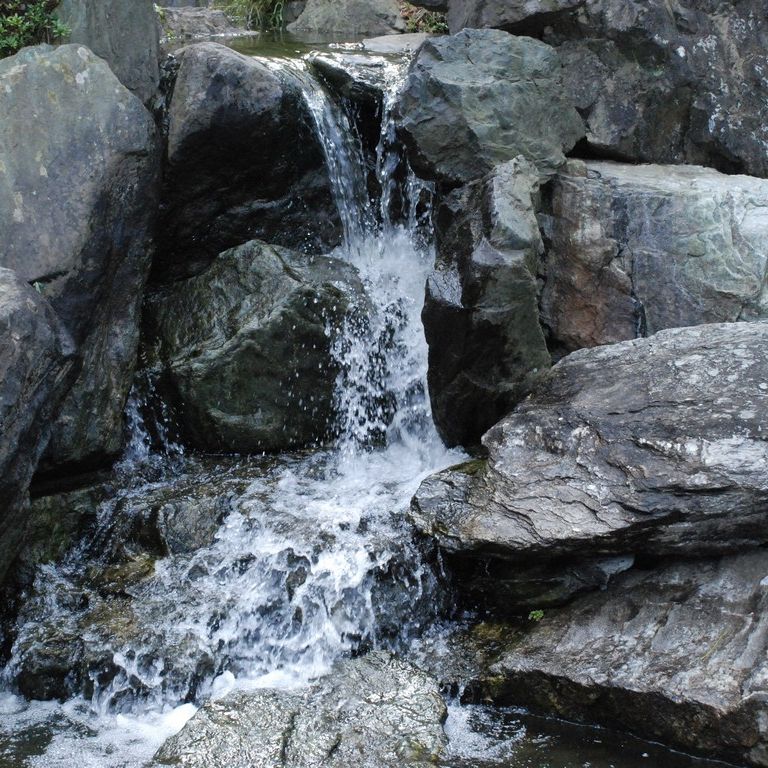 ʌzJsEԓc - RE - ʐ^f - ݃{