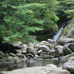 屋久島・白谷雲水峡
