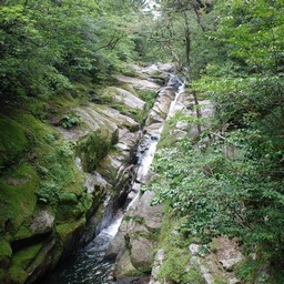 屋久島・白谷雲水峡