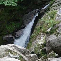 屋久島・白谷雲水峡