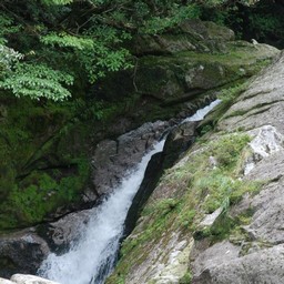 屋久島・白谷雲水峡