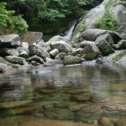 屋久島・白谷雲水峡