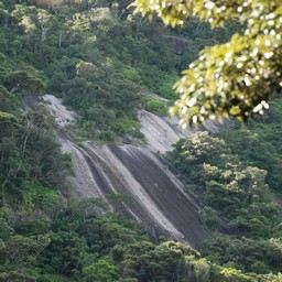 屋久島・千尋の滝