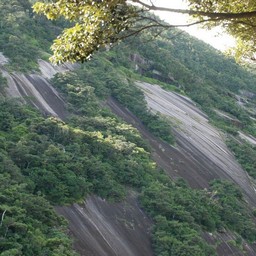 屋久島・千尋の滝