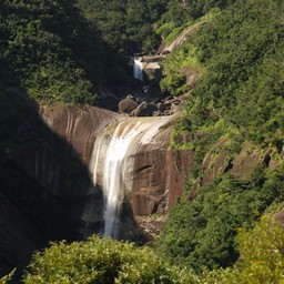 屋久島・千尋の滝