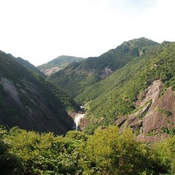 屋久島・千尋の滝