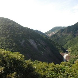 屋久島・千尋の滝