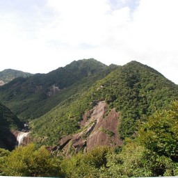 屋久島・千尋の滝