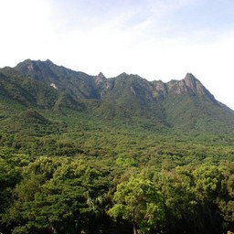屋久島・モッチョム岳
