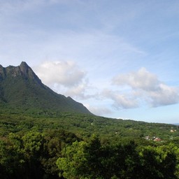 屋久島・モッチョム岳