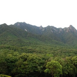 屋久島・モッチョム岳