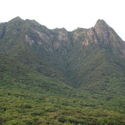 屋久島・モッチョム岳