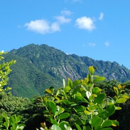 屋久島・モッチョム岳