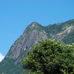 屋久島・モッチョム岳