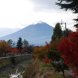 山梨県・富士山(河口湖)