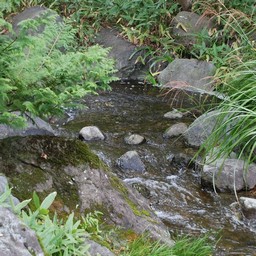 東京都・昭和記念公園