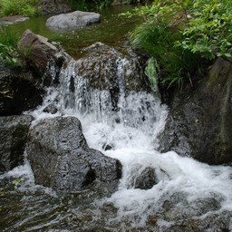 東京都・昭和記念公園