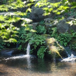 東京都・六義園