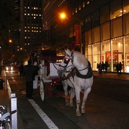 アメリカ・NY・ロックフェラーセンター