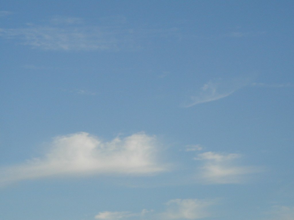 tYsEfBYj[ -  - ʐ^f - ݃{