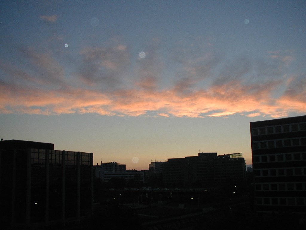 hCcEtNtg -  - ʐ^f - ݃{