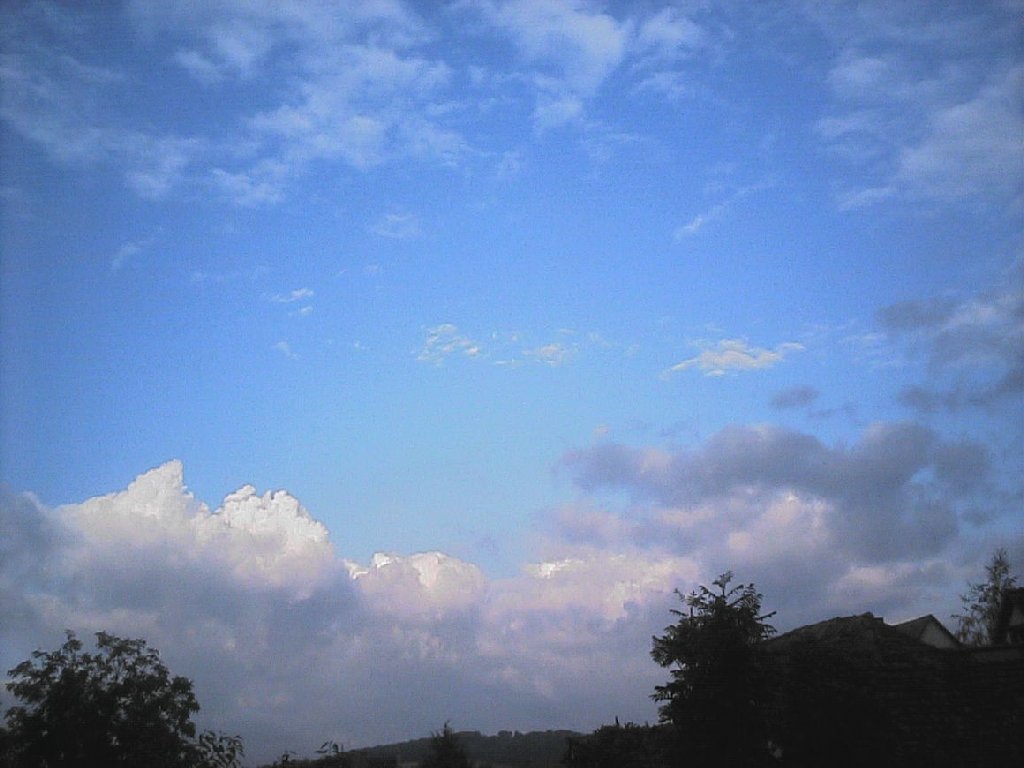 hCcE[fuN -  - ʐ^f - ݃{
