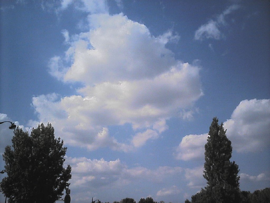 tXp -  - ʐ^f - ݃{