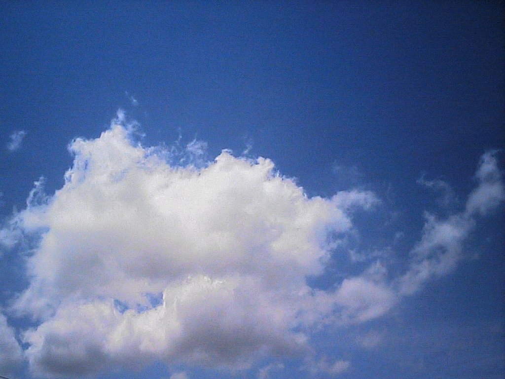 ʌzJsEt -  - ʐ^f - ݃{