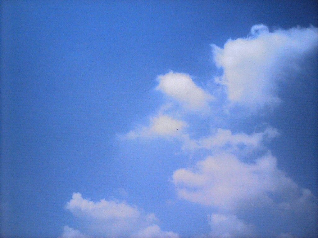 ʌzJs -  - ʐ^f - ݃{