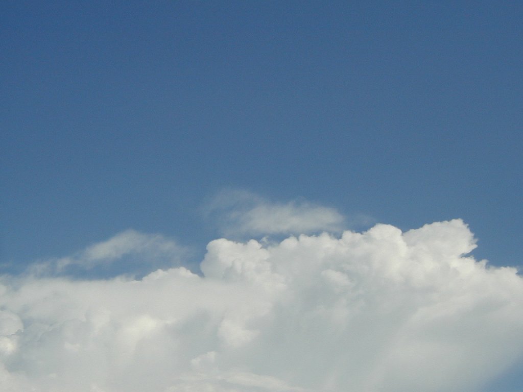 ʌzJs -  - ʐ^f - ݃{