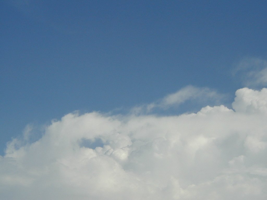 ʌzJs -  - ʐ^f - ݃{