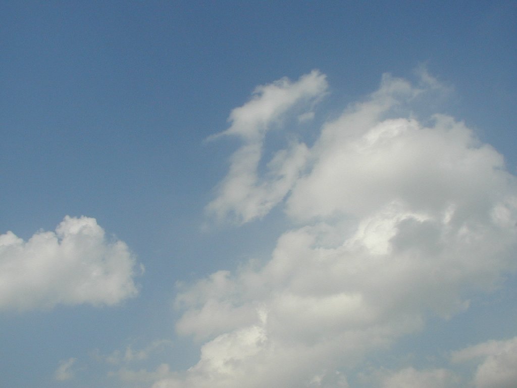 ʌzJs -  - ʐ^f - ݃{