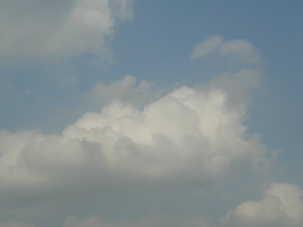 ʌzJs -  - ʐ^f - ݃{